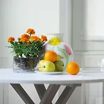 Clarissa By Portofinohomes 아파트